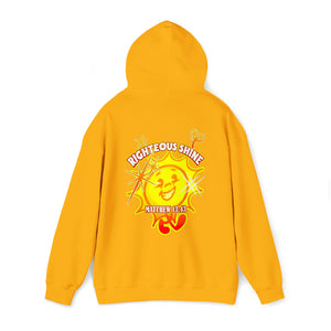 Unisex Heavy Blend™ Hooded Sweatshirt RIGHTEOUS SHINE MATTHEW 13:43