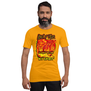 Men's short sleeve t-shirt God's Fire